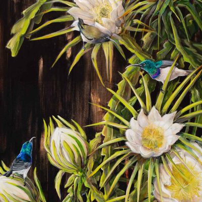 Colorful birds, blooming white flowers, green spiky leaves, dark background.