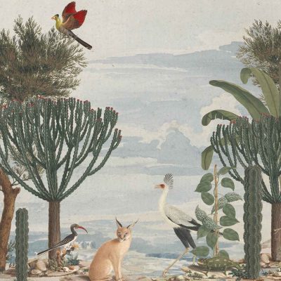 Wallpaper Illustration: Features whimsical birds like sparrows, peacocks, and owls mingling with a lynx-like cat. Stylized Reed Rush stands among trees and foliage. The landscape is serene with muted earthy tones like soft greens, gentle blues, tepid browns, and subtle grays under a cloudy sky. Detailed elements include textured feathers, graceful plant leaves, and billowy cloud patterns.
