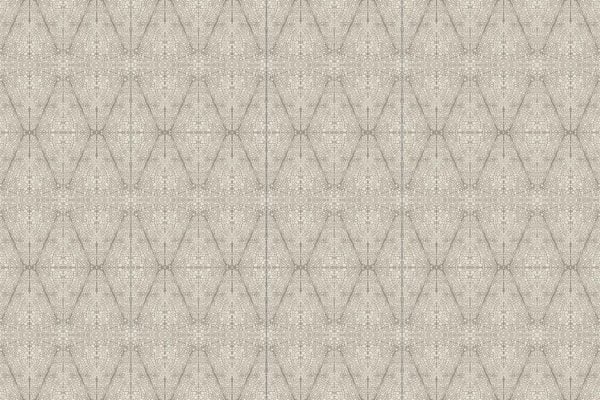 Seamless geometric wallpaper in light gray tones featuring subtle intersecting lines forming diamond and hexagonal shapes. The pattern evokes a delicate, textured appearance reminiscent of tortoise shell, with fine linear detailing and softly blended shades of pale gray and silver.