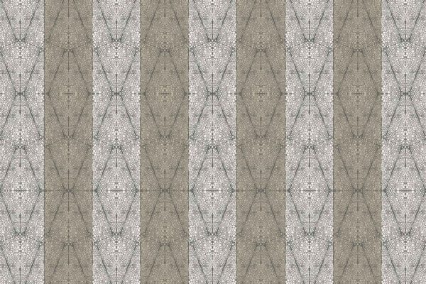 Wallpaper features alternating vertical stripes in light gray and muted brown, overlaid with intricate, symmetrical hexagonal and star-like motifs resembling a tortoise shell mosaic. Elements include: repeating geometric pattern, vertical stripes, light gray, muted brown, hexagons, star shapes, mosaic effect.