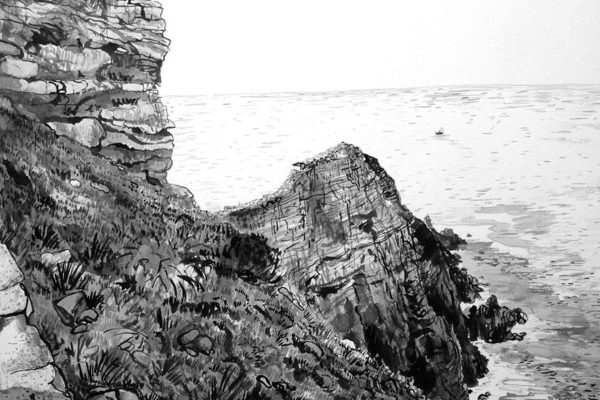 Black and white wallpaper featuring: rocky seaside cliff, grasses, small plants, calm sea, distant small boat; title: "Top Of The Station.