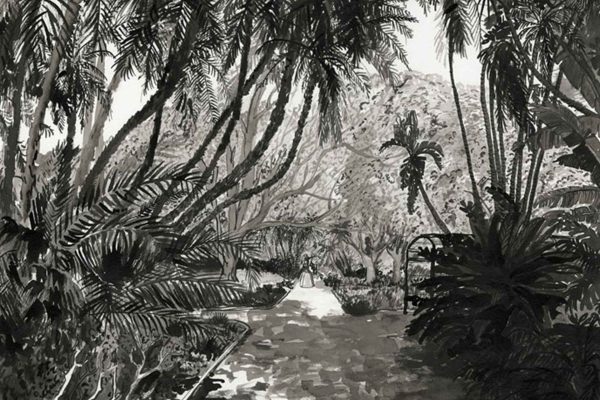 Black and white wallpaper featuring detailed illustrations of palm trees, dense tropical foliage, and a winding stone path; distant solitary figure adds depth. Botanical, lush jungle patterns dominate; monochrome palette—no color except black, white, and grays. Elegant, tranquil garden scene without typical shop elements.