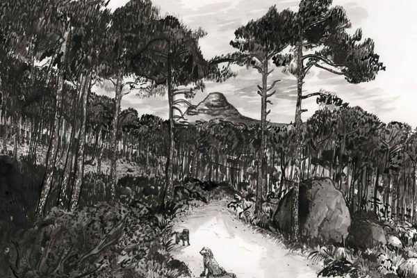 Black and white illustration, wallpaper style. Forest near Bantry Bay with tall trees; a winding rocky dirt path. Two animals (possibly deer or foxes) on the trail. Large boulders on the right side. Mountain rises in background under a cloudy sky. High contrast between black lines and white space, emphasizing silhouettes and textures with no color—monochrome only. Key elements: forest, trail with animals, boulders, mountain, moody sky.