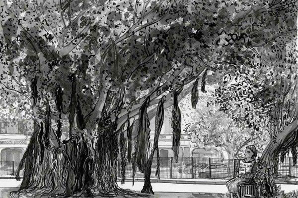 Black and white wallpaper featuring a sprawling foreshore jungle tree with hanging roots, a solitary person on a bench, visible park fence, and distant buildings in the background. Monochrome tones, strong contrast between tree canopy and light open spaces.