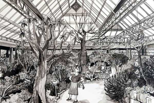Black and white wallpaper illustration: Kirstenbosch-inspired greenhouse interior; glass roof, abundant large exotic plants (ferns, palms, broad leaves); curved path with person holding watering can; lush dense vegetation throughout; clear labeled plant displays. Monochrome palette—no color, high contrast linework and shading for depth.