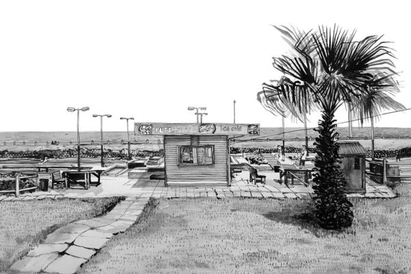 Black and white wallpaper drawing features: a small snack stand labeled “Platte Point Ice Cold,” shaded by a nearby palm tree; simple picnic tables beneath; stylized streetlights; open, unobstructed landscape in the background. No hippos present. The only colors are black ink lines on a white background, emphasizing crisp outlines and light shading—classic museum sketch style.