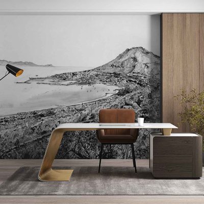 Large black-and-white wallpaper mural depicting a dramatic coastal landscape with rugged cliffs, crashing waves, and distant mountains. Monochromatic tones dominate, featuring gradients of gray, deep blacks, and crisp whites to evoke natural sunlight and shadow. The imagery is reminiscent of sweeping ocean views seen from the Cape Sun Hotel.