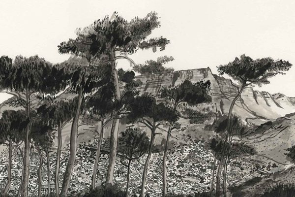 Ink illustration wallpaper featuring tall, slender trees in the foreground, rocky mountain and cliffs in the background, inspired by Sea Point Promenade. Monochromatic palette in black, gray, and white for bold contrast. Elements include detailed tree silhouettes, jagged cliff lines, textured rocks—all rendered in high-contrast grayscale ink style.