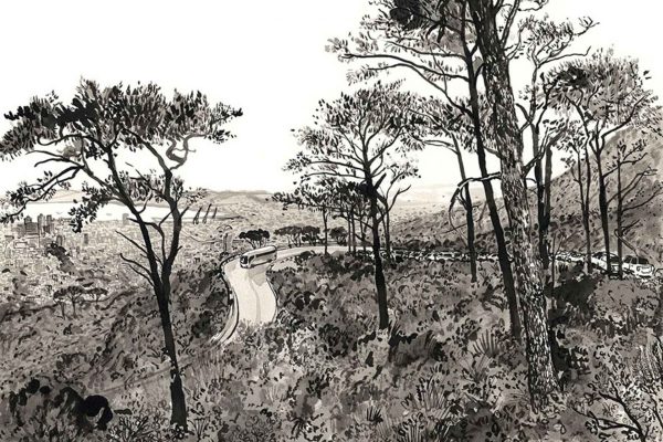 Ink illustration wallpaper of a winding road through a lush forested hillside, featuring tall, detailed black trees in the foreground. Openings between branches reveal Cape Town cityscape and harbor along Tafelberg Road in the distance. Monochrome palette: deep blacks and grays with white highlights for dramatic contrast. Prominent elements: twisting road, textured tree trunks, leafy canopies, distant urban skyline and waterfront glimpsed through forest gaps.