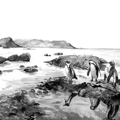 Black and white illustration wallpaper featuring three penguins standing on a rocky shore, ocean waves, distant mountains, large rocks, and clear reflections in shallow water. Elements: penguins, ocean, rocky shore, mountains, reflections. Colors: black, white (monochrome).