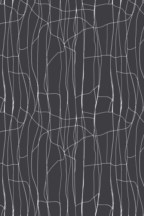 Wavy, white lines form an abstract, tangled pattern on a dark gray background, creating organic, flowing shapes reminiscent of tree branches or roots. The design evokes movement and grace, similar to draped saree fabric. Elements: abstract pattern, wavy white lines, dark gray background, organic flow, root-like or branch-like motifs. Colors: white and dark gray.
