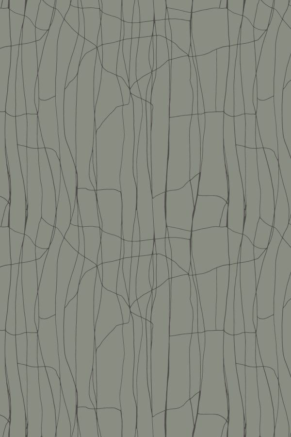 Abstract wallpaper featuring thin, wavy black lines creating irregular, web-like shapes on a muted green background. The continuous pattern is organic and fluid, evoking the elegance of a saree with intersecting lines in black over soft green tones.