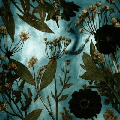 Dark green silhouetted wildflowers and leafy plants appear on a moody deep blue wallpaper background, featuring artistic botanical patterns with dramatic, vintage-inspired lighting; elements include leaves, stems, and flower silhouettes in a nature-themed design.