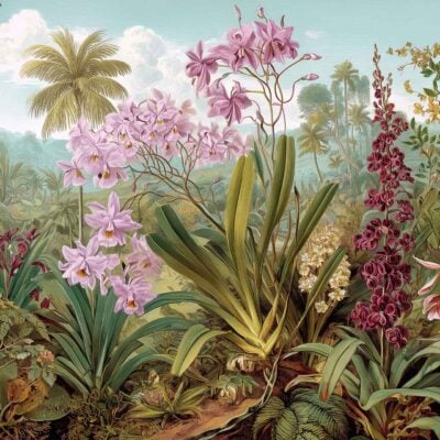 Wallpaper featuring tall green plants, palm trees, and blooming orchids in pink, purple, and white set against a blue sky. Vibrant botanical patterns and lush tropical foliage dominate the design.